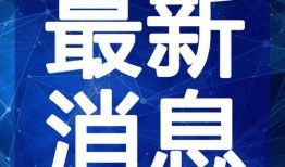 杨晨大神爆料最新视频,行业动态与未来趋势深度解析