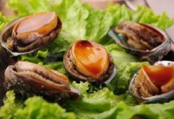 鲍鱼最新爆料图片大全集,高清图片大全集大揭秘